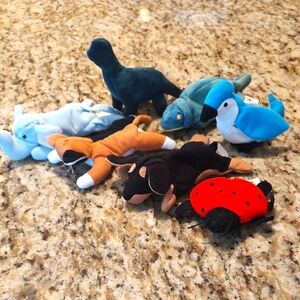 Teenie Beanie Babies (7)